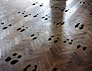 Souls/soles charcoal footprint on church floor