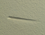 Wall-wound (found) ERRN-1